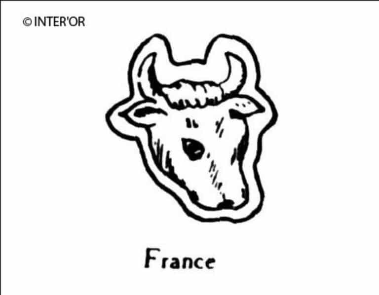 Tete de vache